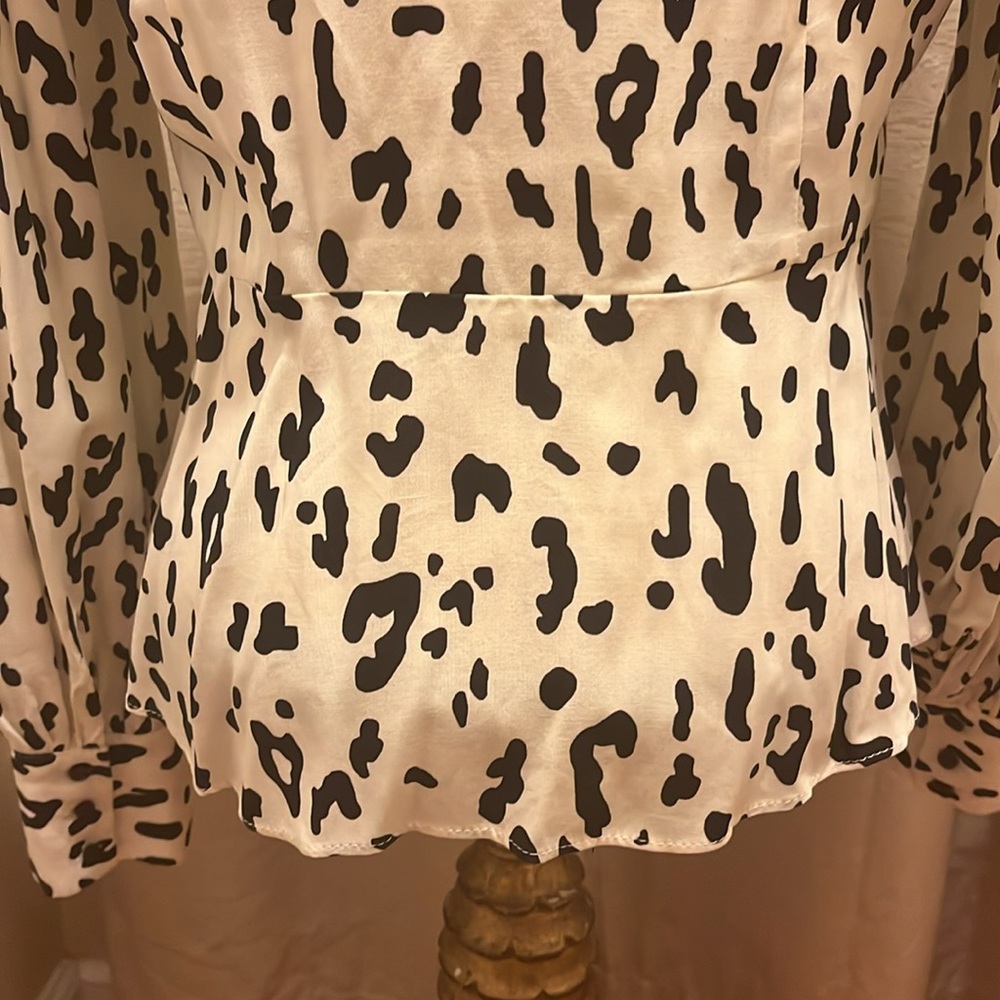 Zara Blouse - Picture 4 of 12